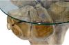 Picture of Takara D27.5" Tempered Glass Top Handcrafted Teak Root Coffee Table