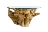 Picture of Takara D35.5" Tempered Glass Top Handcrafted Teak Root Coffee Table