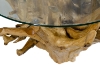 Picture of Takara D35.5" Tempered Glass Top Handcrafted Teak Root Coffee Table