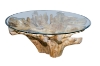 Picture of Takara D43.5" Tempered Glass Top Handcrafted Teak Root Coffee Table