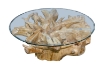 Picture of Takara D43.5" Tempered Glass Top Handcrafted Teak Root Coffee Table