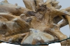 Picture of Takara D43.5" Tempered Glass Top Handcrafted Teak Root Coffee Table
