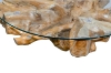 Picture of Takara D43.5" Tempered Glass Top Handcrafted Teak Root Coffee Table