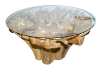 Picture of Takara D51" Tempered Glass Top Handcrafted Teak Root Dining Table