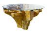 Picture of Takara D51" Tempered Glass Top Handcrafted Teak Root Dining Table