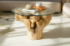 Picture of Takara D27.5" Tempered Glass Top Handcrafted Teak Root Coffee Table