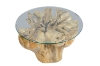Picture of Takara D27.5" Tempered Glass Top Handcrafted Teak Root Coffee Table