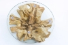 Picture of Takara D27.5" Tempered Glass Top Handcrafted Teak Root Coffee Table