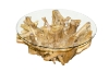 Picture of Takara D35.5" Tempered Glass Top Handcrafted Teak Root Coffee Table