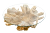 Picture of Takara D43.5" Tempered Glass Top Handcrafted Teak Root Coffee Table