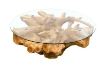 Picture of Takara D43.5" Tempered Glass Top Handcrafted Teak Root Coffee Table