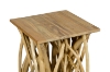 Picture of WILDBRANCH 17.5" Teakwood Square Side Table