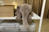 Picture of ELEPHANT Plush Cushion (Off-white) - H27.5"