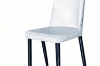 Picture of AINA Dining Chair (Cream White) - Each