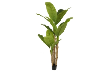 Picture of 353-003 Artificial Green Banana Tree Plant - H71"