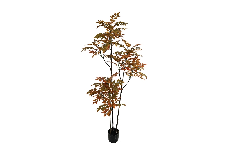 Picture of 353-008 Artificial Lacquered Wood Plant - H67"