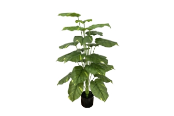 Picture of 353-015 Artificial Green Pothos Plant - H39.5" 