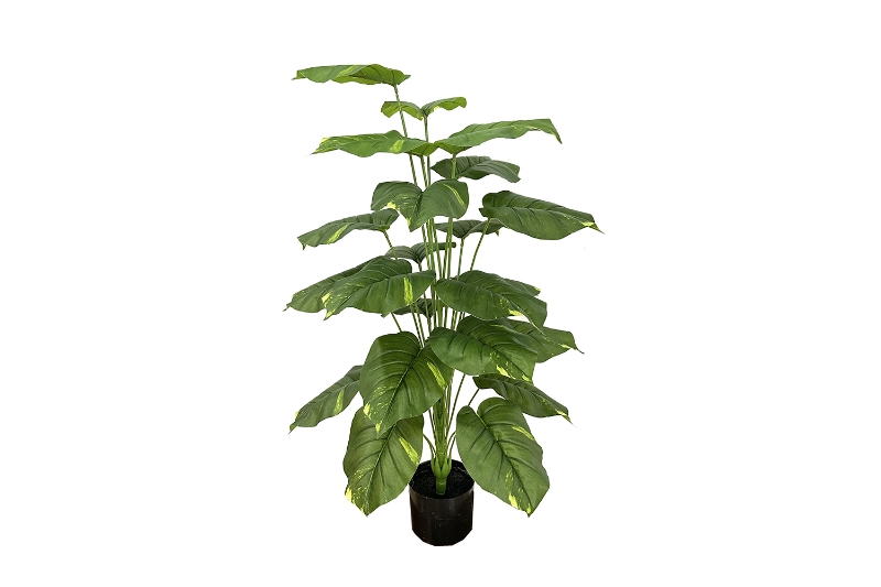 Picture of 353-015 Artificial Green Pothos Plant - H39.5" 