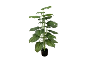 Picture of 353-016 Artificial Green Pothos Plant - H39.5" 