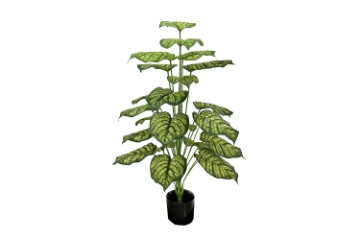 Picture of 353-018 Artificial Green Pothos Plant - H39.5" 