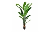 Picture of 353-001 Artificial Green Traveler's Palm Plant - H71"