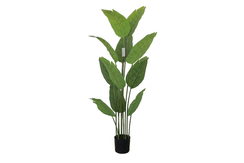 Picture of 353-002 Artificial Green Traveler's Palm Plant - H59"