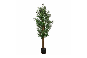 Picture of 353-007 Artificial Green Olive Plant - H73"