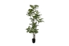 Picture of 353-009 Artificial Green Lacquered Wood Plant - H67"