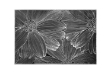 Picture of 371-020 Silver Sunflower Placemat in Black (17.5"x12")