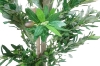 Picture of 353-007 Artificial Green Olive Plant - H73"