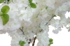 Picture of 353-010 Artificial White Cherry Blossom Tree Plant - H75"