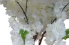 Picture of 353-010 Artificial White Cherry Blossom Tree Plant - H75"