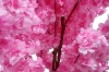 Picture of 353-011 Artificial Pink Cherry Blossom Tree Plant - H75"