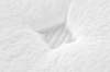 Picture of LAVORA Perfume Fabric Pocket Spring Mattress - Queen Size