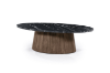 Picture of [FLOOR MODEL CLEARANCE]HUBIE Mango Wood Oval Coffee Table with Marble Top