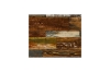 Picture of APEX Dual-Sided Table Top (Rustic Wood Grain) - 47"x31.5"