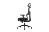 Picture of FLEXO Height Adjustable Office Chair with Adjustable Headrest & Backrest, Seat Slider (Dark)