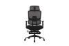 Picture of FLEXO Height Adjustable Office Chair with Adjustable Headrest & Backrest, Seat Slider (Dark)