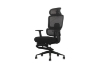Picture of FLEXO Height Adjustable Office Chair with Adjustable Headrest & Backrest, Seat Slider (Dark)