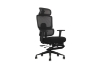 Picture of FLEXO Height Adjustable Office Chair with Adjustable Headrest & Backrest, Seat Slider (Dark)