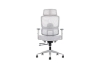 Picture of FLEXO Height Adjustable Mesh Seat Office Chair with Adjustable Headrest & Backrest, Seat Slider (Grey)