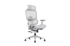 Picture of FLEXO Height Adjustable Mesh Seat Office Chair with Adjustable Headrest & Backrest, Seat Slider (Grey)