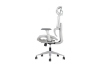 Picture of FLEXO Height Adjustable Mesh Seat Office Chair (Grey)