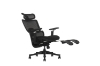 Picture of FLEXO Pro Height Adjustable Mesh Office Chair with Adjustable Headrest & Backrest, 5D Armrests and Seat Slider (Dark)