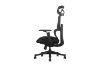 Picture of FLEXO Pro Height Adjustable Mesh Office Chair with Adjustable Headrest & Backrest, 5D Armrests and Seat Slider (Dark)