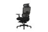 Picture of FLEXO Pro Height Adjustable Mesh Office Chair with Adjustable Headrest & Backrest, 5D Armrests and Seat Slider (Dark)