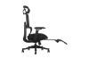 Picture of FLEXO Pro Height Adjustable Mesh Office Chair with Adjustable Headrest & Backrest, 5D Armrests and Seat Slider (Dark)