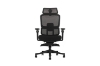 Picture of FLEXO Pro Height Adjustable Mesh Office Chair with Footrest (Dark)