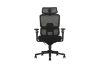 Picture of FLEXO Pro Height Adjustable Mesh Office Chair (Dark)