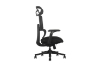 Picture of FLEXO Pro Height Adjustable Mesh Office Chair (Dark)